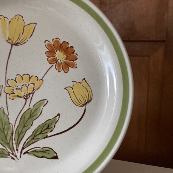 Vintage Country Casual “Sunnyvale” Dinner Plates, Set of 2 - Picture 5 of 10